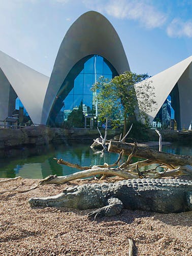 Tour to Oceanografic Valencia